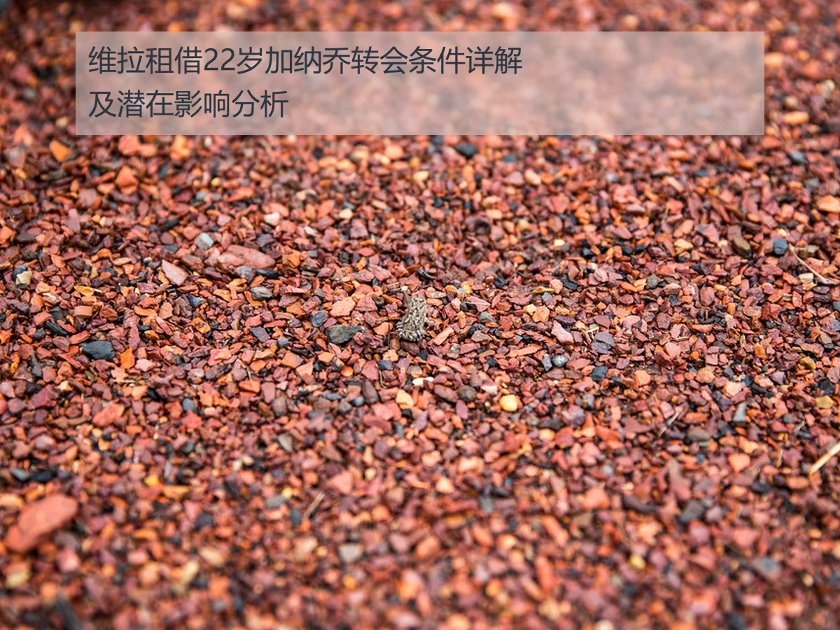 维拉租借22岁加纳乔转会条件详解及潜在影响分析